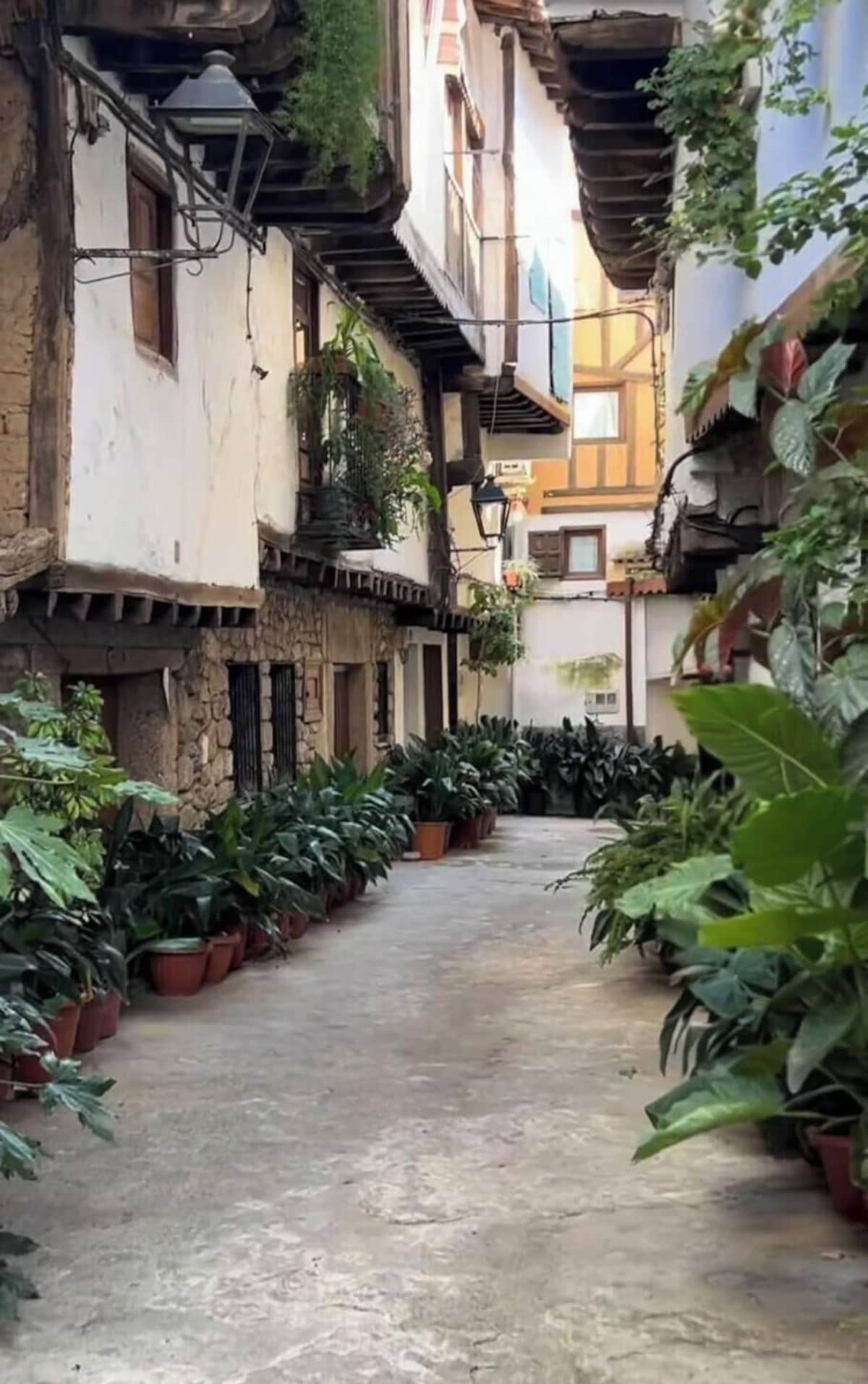 ALMAVERA. Pure Calm House. Colibri 1 Apartment